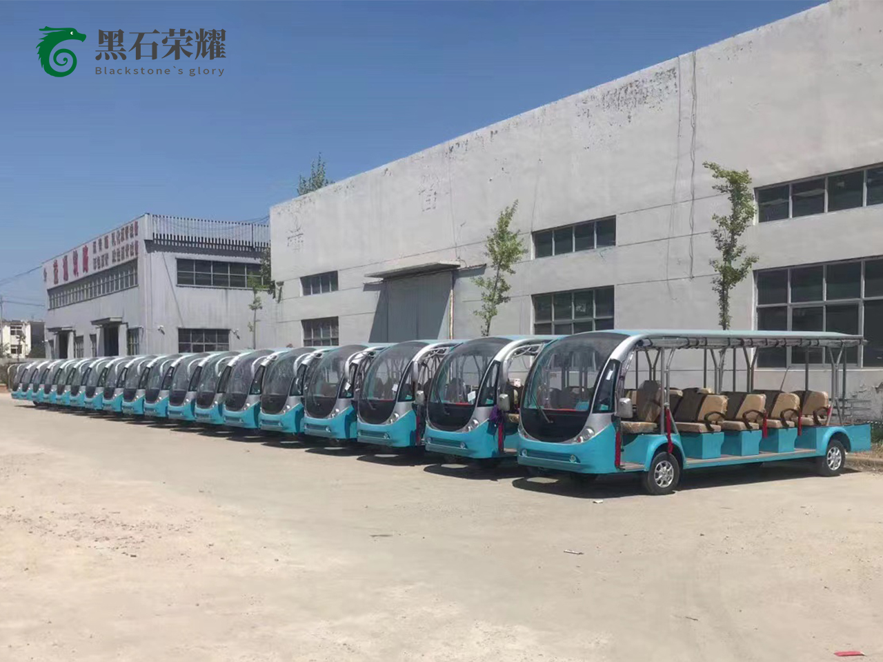 電動(dòng)觀光車