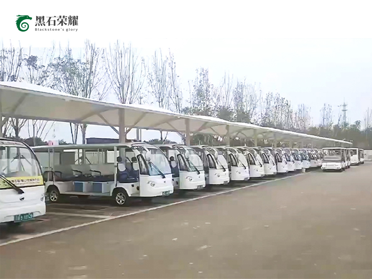 電動(dòng)觀光車