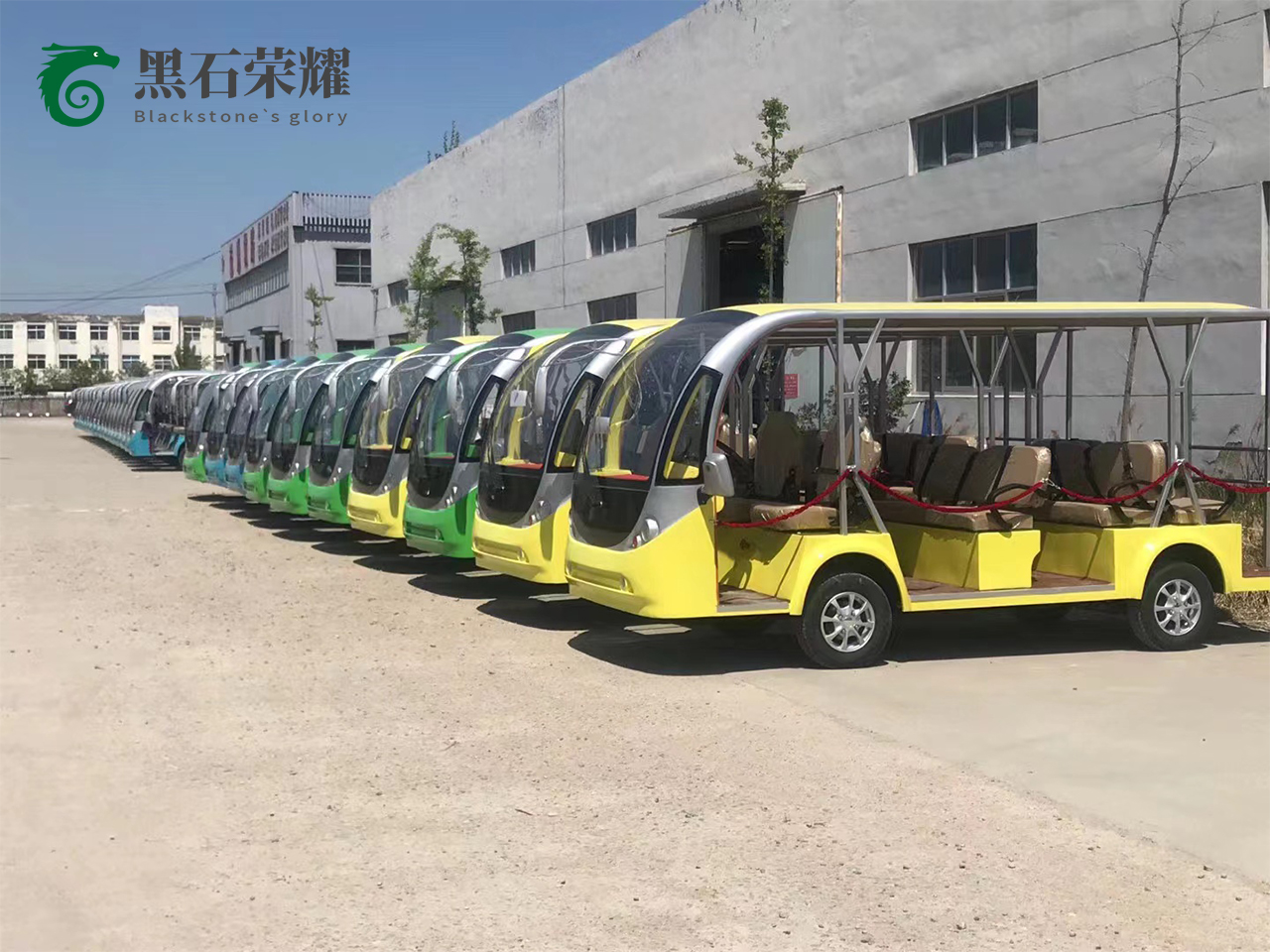 電動(dòng)觀光車景區(qū)用系列