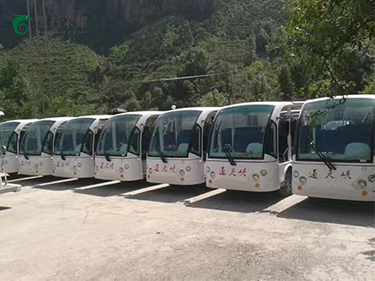 電動觀光車景區用系列